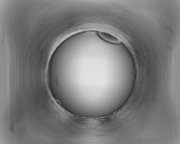 X0000111851536200907301100