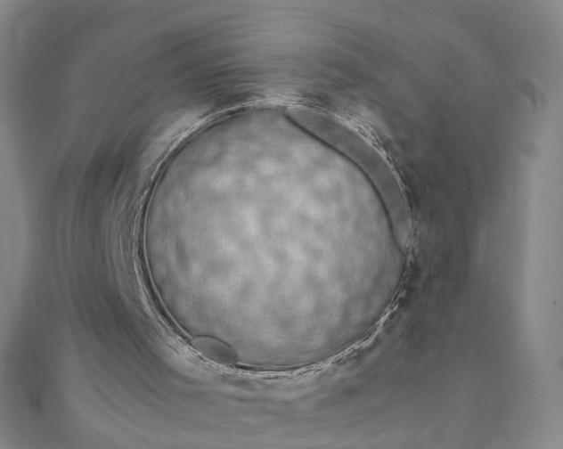 X0000111850001200908061324