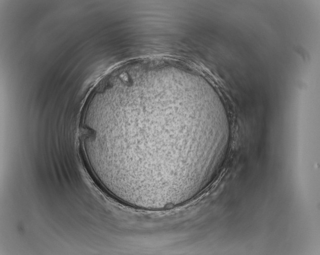 X0000111850002200908061324