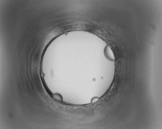 X0000111850003200908061324