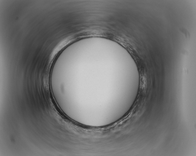 X0000111850004200908061324