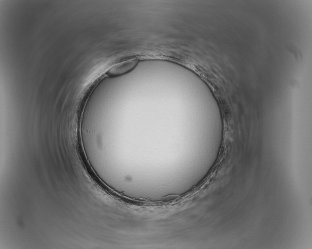 X0000111850005200908061324