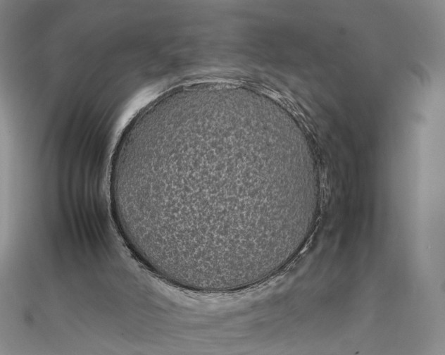 X0000111850006200908061324