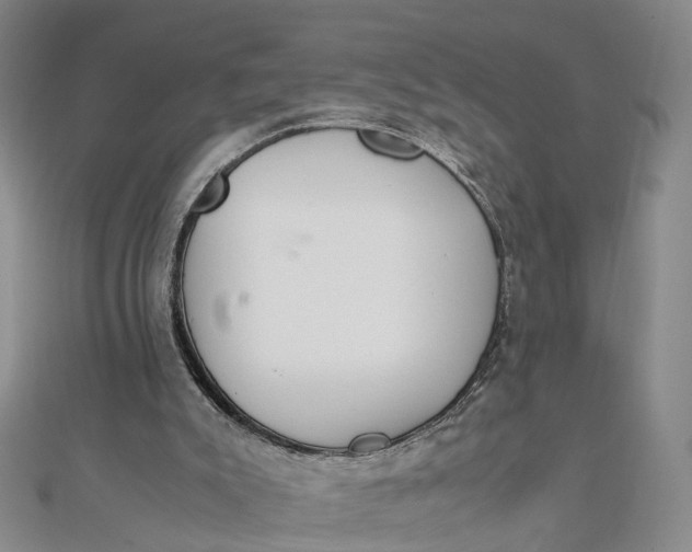 X0000111850007200908061324