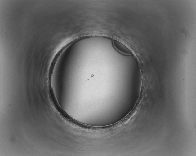 X0000111850008200908061324