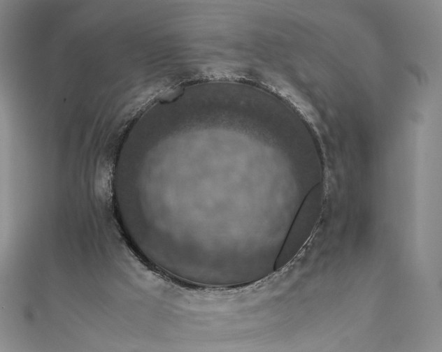 X0000111850009200908061324