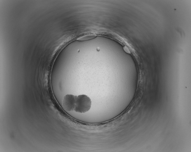 X0000111850010200908061324