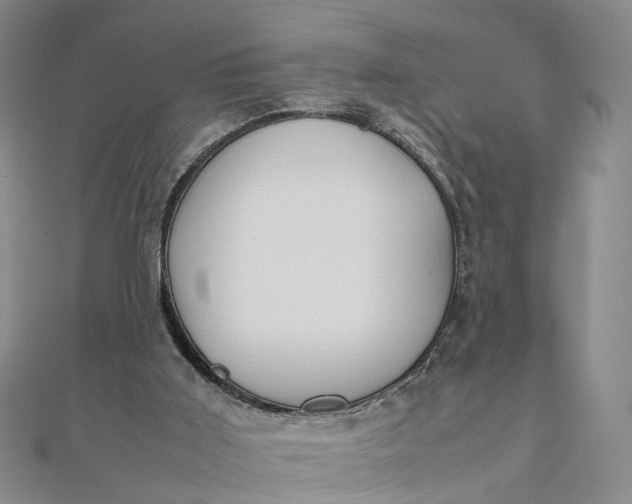 X0000111850011200908061324