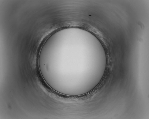 X0000111850012200908061324