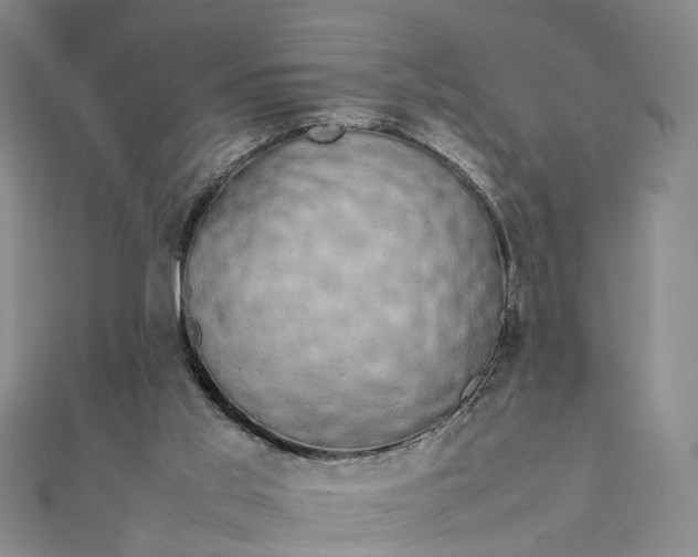 X0000111850013200908061324