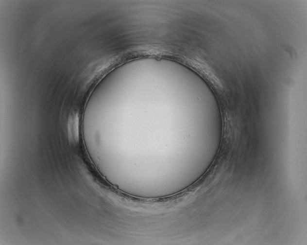 X0000111850014200908061324