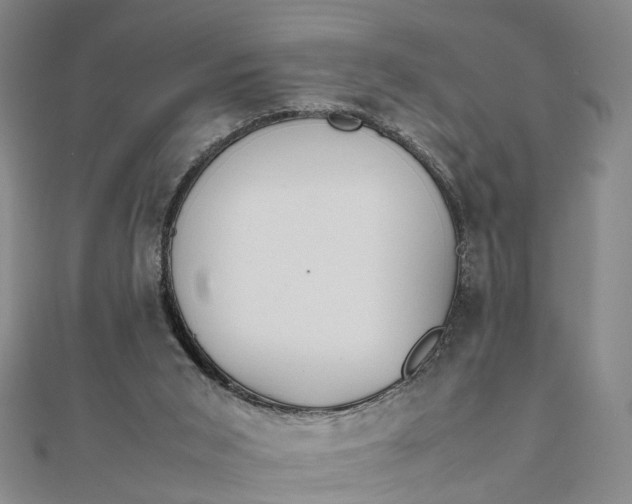 X0000111850015200908061324