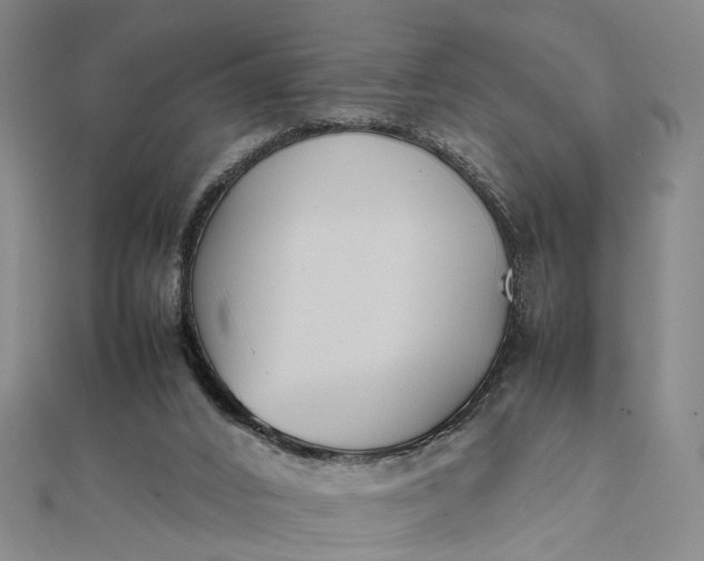 X0000111850016200908061324