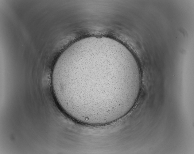 X0000111850017200908061324