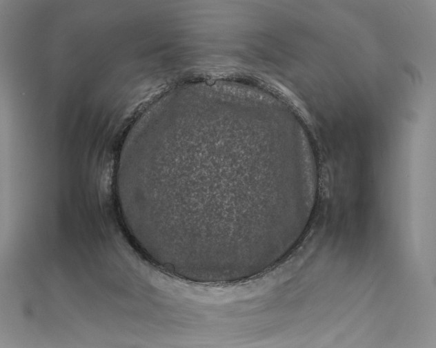 X0000111850018200908061324