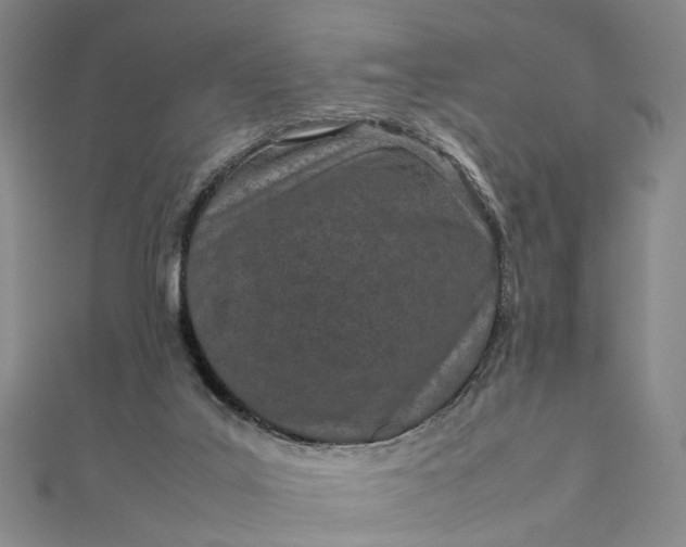 X0000111850019200908061324