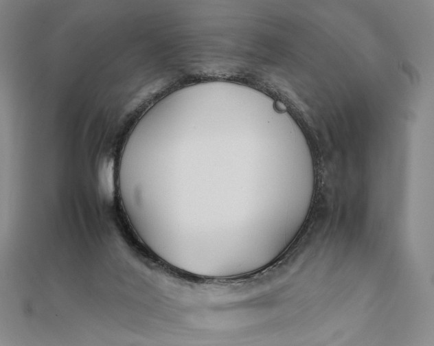 X0000111850020200908061324