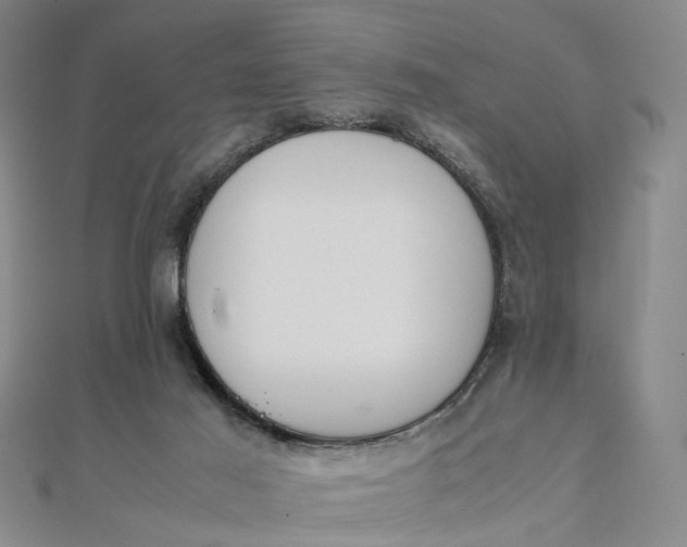 X0000111850021200908061324