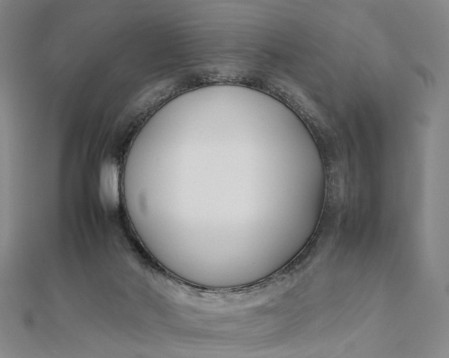 X0000111850022200908061324