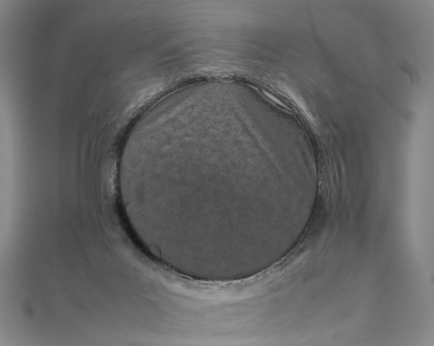 X0000111850023200908061324