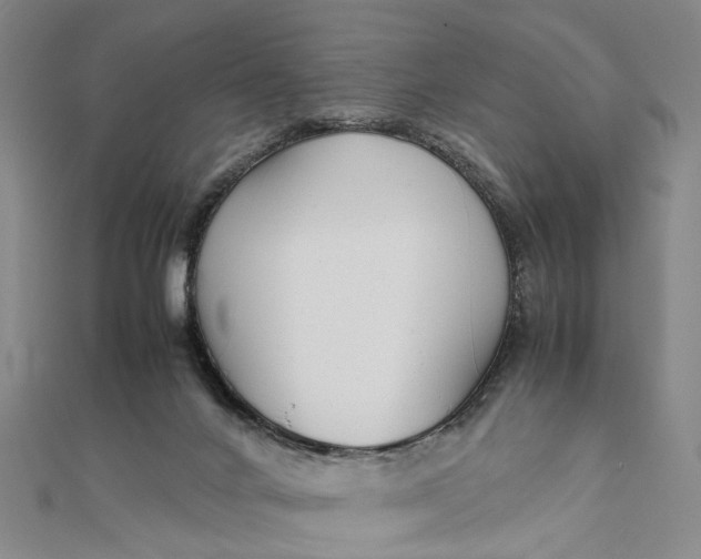 X0000111850024200908061324