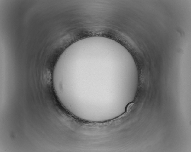 X0000111850025200908061324