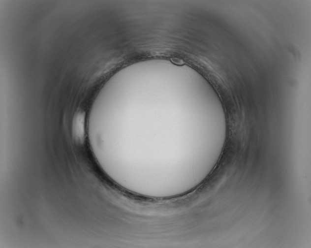 X0000111850028200908061324