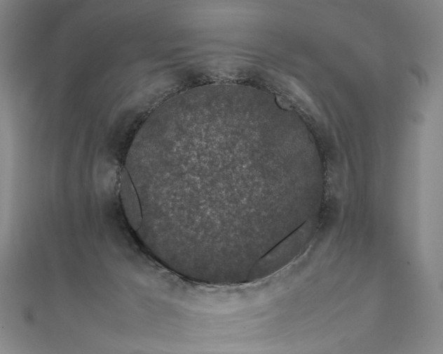 X0000111850029200908061324