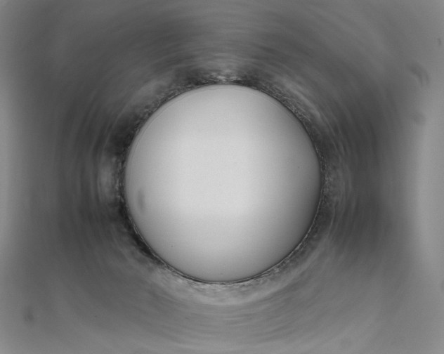 X0000111850030200908061324