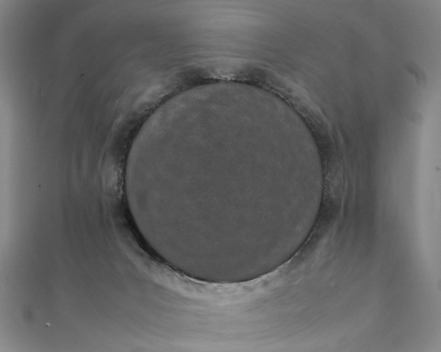 X0000111850031200908061324