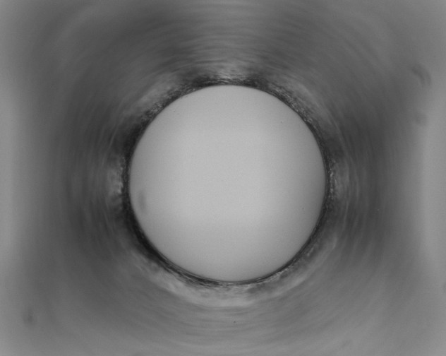 X0000111850032200908061324