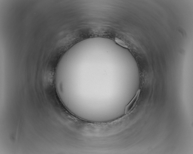 X0000111850033200908061324