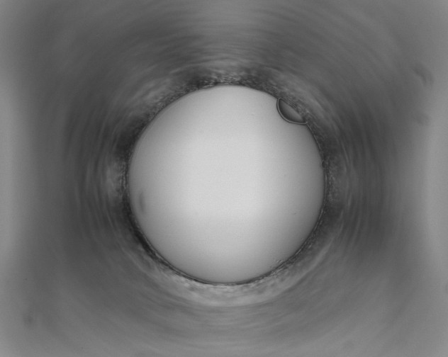 X0000111850034200908061324