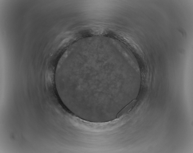 X0000111850035200908061324