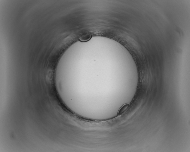 X0000111850036200908061324