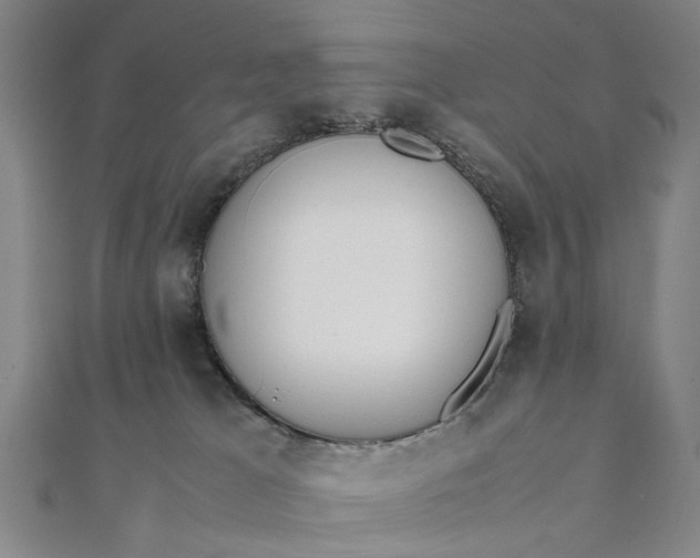 X0000111850037200908061324