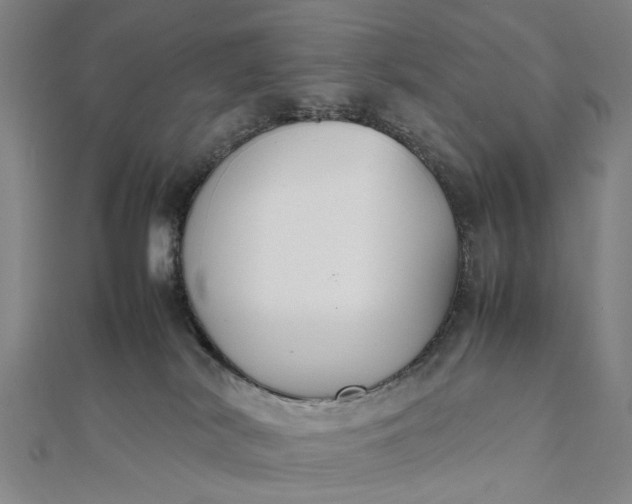 X0000111850038200908061324