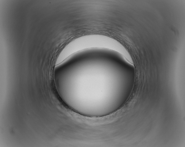 X0000111850039200908061324