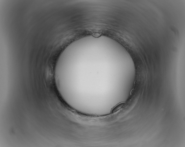 X0000111850040200908061324