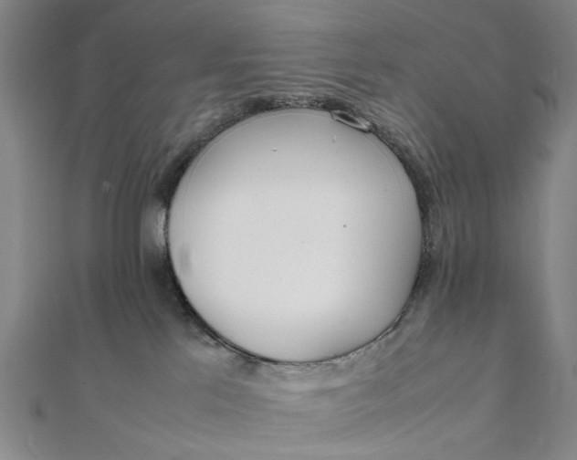 X0000111850041200908061324