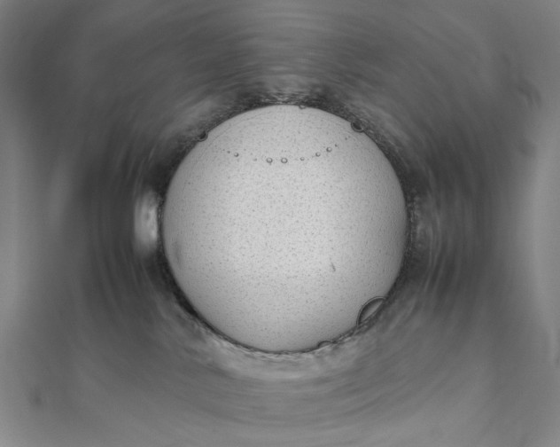 X0000111850042200908061324