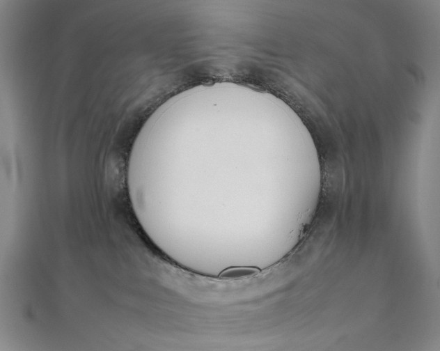 X0000111850043200908061324