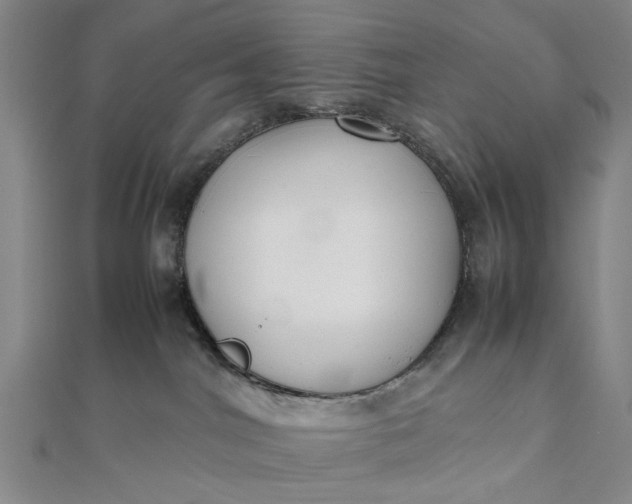 X0000111850044200908061324