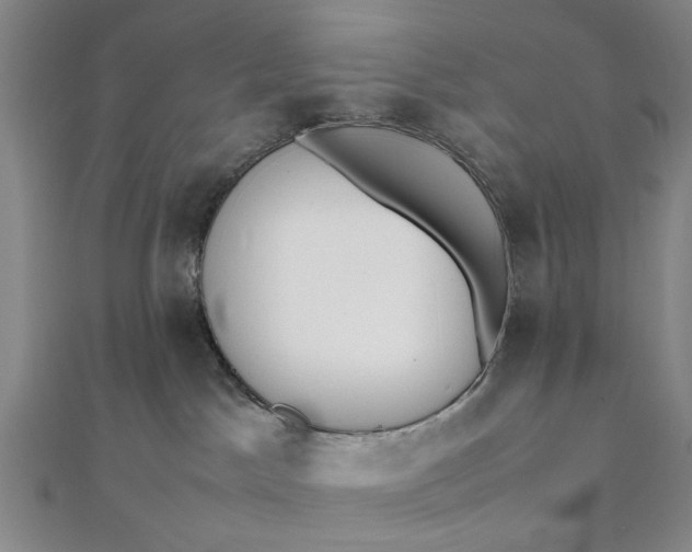 X0000111850045200908061324