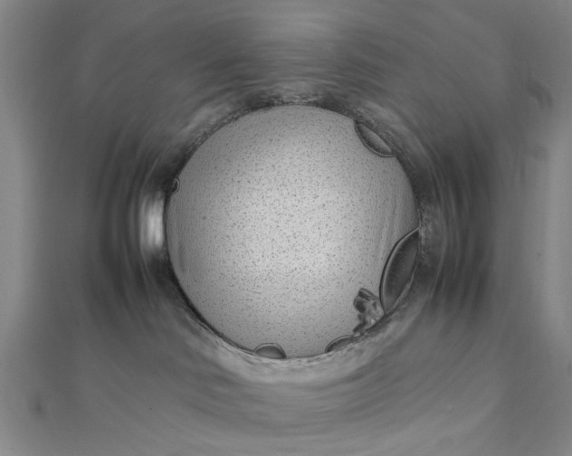 X0000111850046200908061324