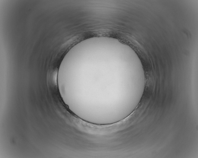 X0000111850047200908061324