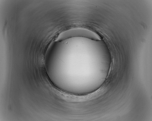 X0000111850048200908061324