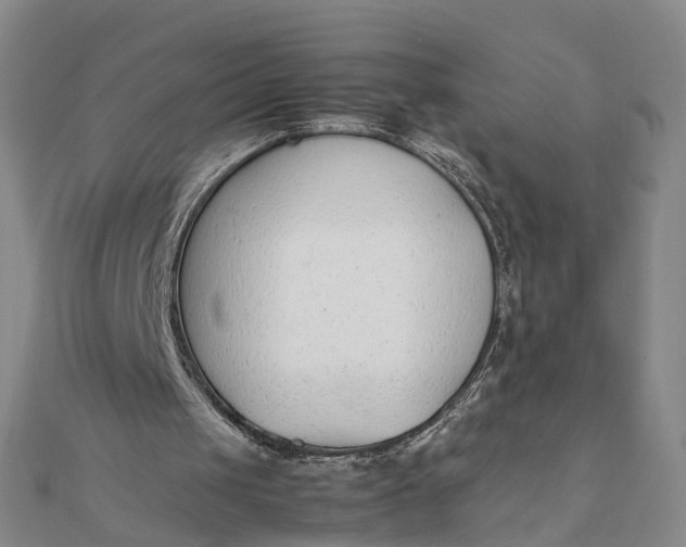 X0000111850049200908061323