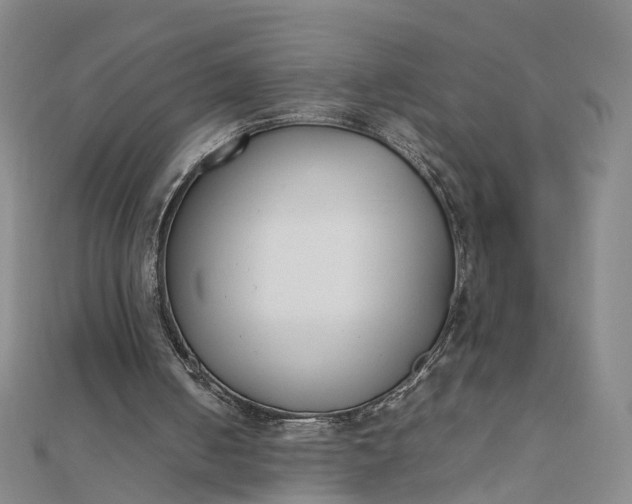 X0000111850050200908061323