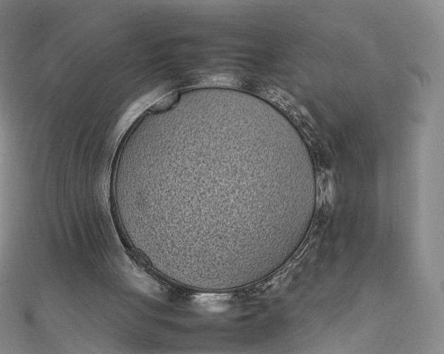 X0000111850051200908061323